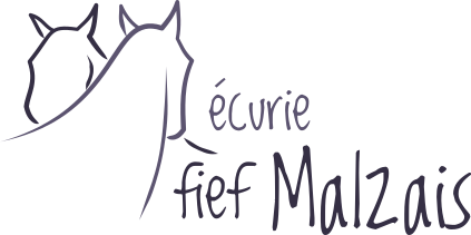 Logo écurie du Fief Malzais à Dompierre-sur-Mer